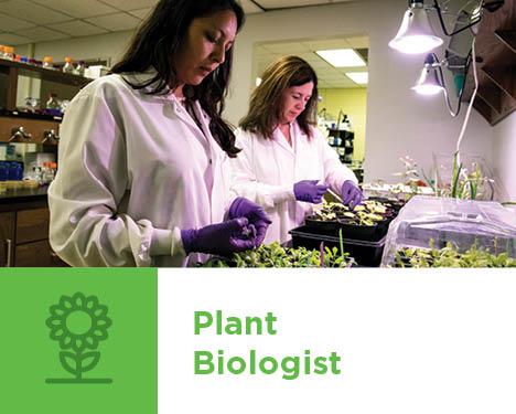 Plant Biologist