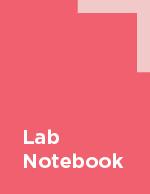 Lab Notebook